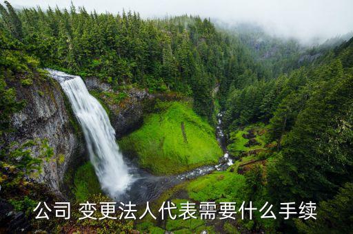 北京有權簽字人變更,有權簽字人變更說明