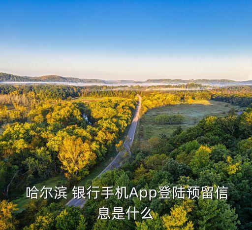  哈爾濱 銀行手機App登陸預留信息是什么