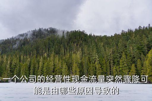 一個公司的經(jīng)營性現(xiàn)金流量突然驟降可能是由哪些原因?qū)е碌? class=