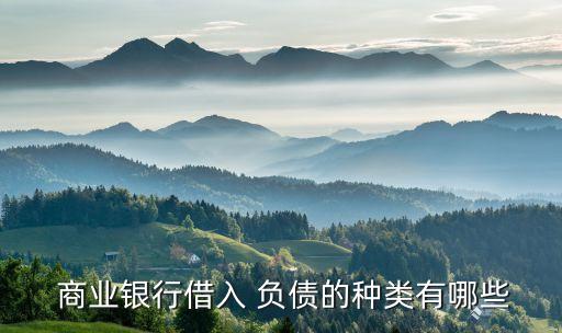  商業(yè)銀行借入 負債的種類有哪些