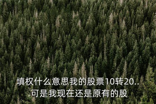 15年什么公司10轉20