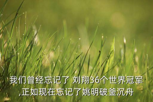 ?？导瘓F(tuán)劉翔,中國交通集團(tuán) 劉翔