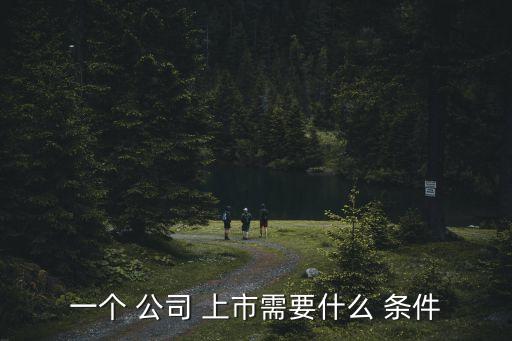 一個(gè) 公司 上市需要什么 條件