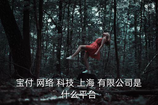 寶付 網(wǎng)絡 科技 上海 有限公司是什么平臺