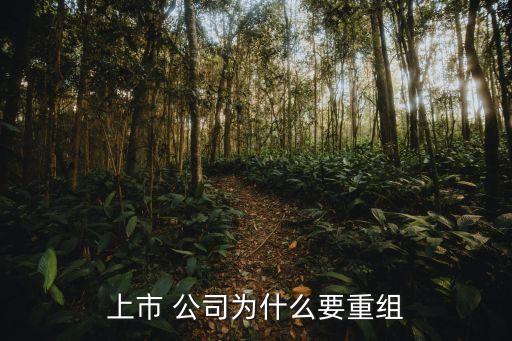 上市 公司為什么要重組