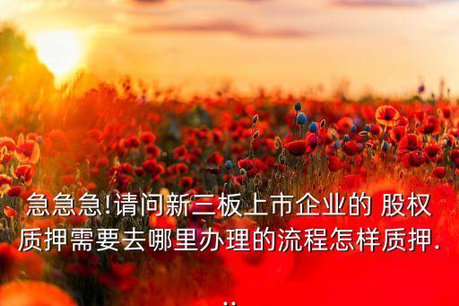 急急急!請問新三板上市企業(yè)的 股權質(zhì)押需要去哪里辦理的流程怎樣質(zhì)押...