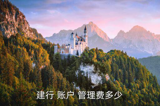 建設銀行的賬戶管理費是什么