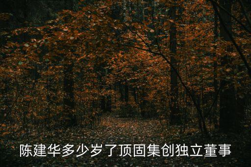 陳建華多少歲了頂固集創(chuàng)獨立董事