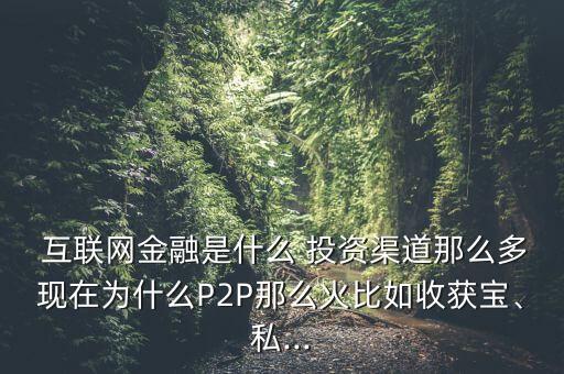  互聯(lián)網(wǎng)金融是什么 投資渠道那么多現(xiàn)在為什么P2P那么火比如收獲寶、私...