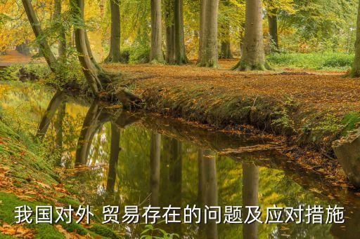 我國對外 貿(mào)易存在的問題及應對措施