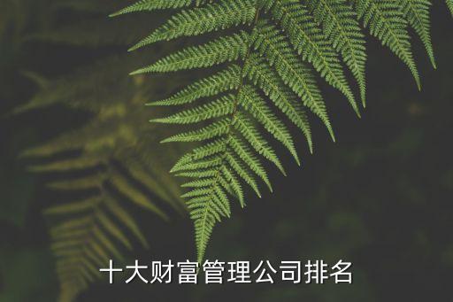 十大財富管理公司排名