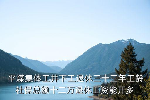  平煤集體工井下工退休三十三年工齡社保總額十二萬退休工資能開多