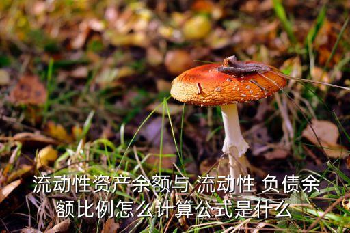 商業(yè)銀行流動性負(fù)債包括,支票存款是商業(yè)銀行流動性最高的一種負(fù)債