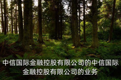 中信國際金融控股有限公司的中信國際金融控股有限公司的業(yè)務(wù)