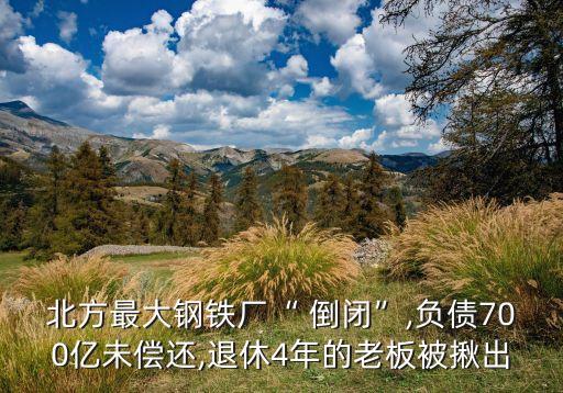 北方最大鋼鐵廠(chǎng)“ 倒閉”,負(fù)債700億未償還,退休4年的老板被揪出