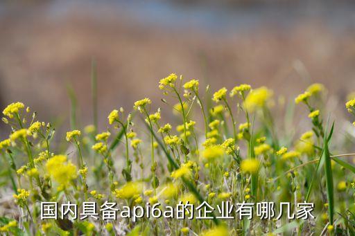國內具備api6a的企業(yè)有哪幾家
