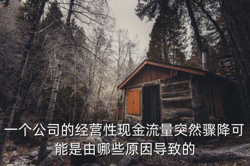 一個公司的經(jīng)營性現(xiàn)金流量突然驟降可能是由哪些原因?qū)е碌? class=