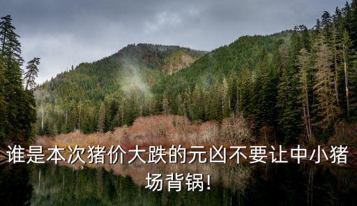 誰是本次豬價(jià)大跌的元兇不要讓中小豬場背鍋!