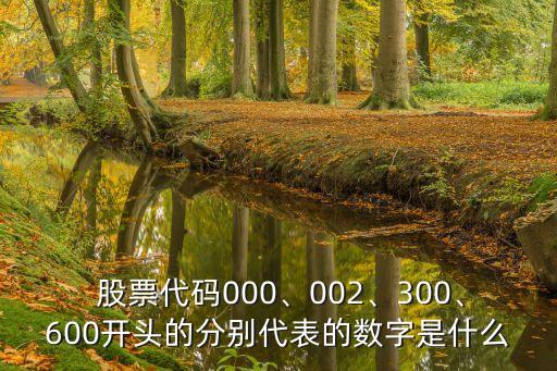  股票代碼000、002、300、600開頭的分別代表的數(shù)字是什么