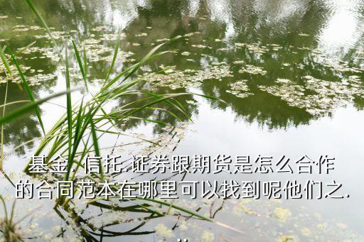 信托投資期權
