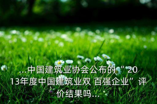 ...中國建筑業(yè)協(xié)會公布的“ 2013年度中國建筑業(yè)雙 百強企業(yè)”評價結果嗎...