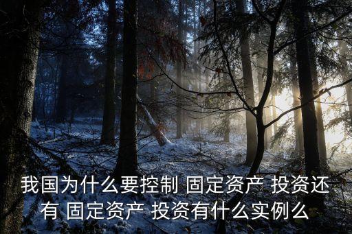 我國為什么要控制 固定資產(chǎn) 投資還有 固定資產(chǎn) 投資有什么實例么