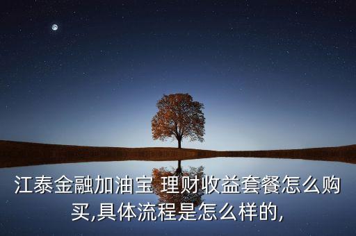 江泰金融加油寶 理財(cái)收益套餐怎么購(gòu)買,具體流程是怎么樣的,
