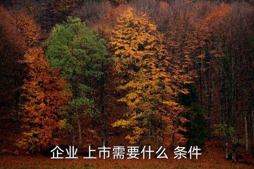 公司上市新條件,公司申請上市的條件和要求