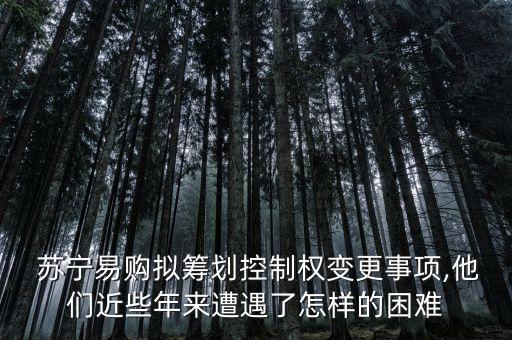 蘇寧集團(tuán)市值,蘇寧易購(gòu)最高市值