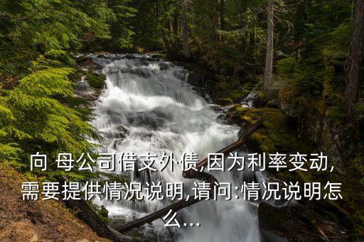 向 母公司借支外債,因?yàn)槔首儎?dòng),需要提供情況說明,請(qǐng)問:情況說明怎么...