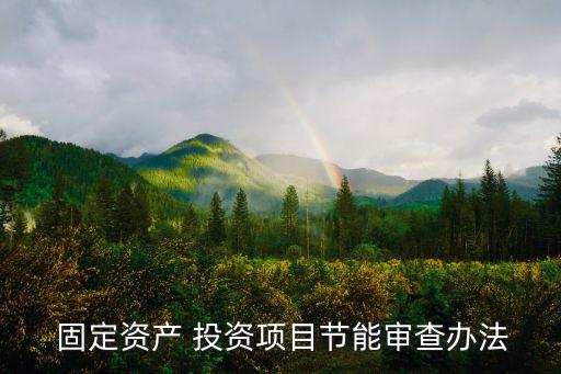  固定資產(chǎn) 投資項目節(jié)能審查辦法