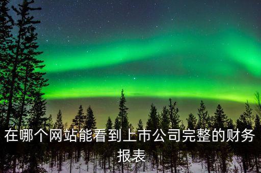 在哪個網(wǎng)站能看到上市公司完整的財務(wù) 報表