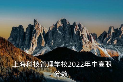  上?？萍脊芾韺W(xué)校2022年中高職分?jǐn)?shù)