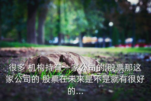 很多 機構持有一家公司的 股票那這家公司的 股票在未來是不是就有很好的...