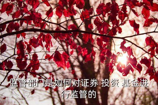 監(jiān)管部門是如何對證券 投資 基金進(jìn)行監(jiān)管的