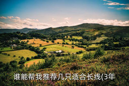 誰(shuí)能幫我推薦幾只適合長(zhǎng)線(xiàn)(3年