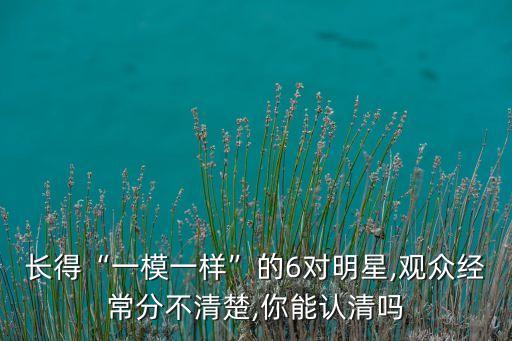 長得“一模一樣”的6對(duì)明星,觀眾經(jīng)常分不清楚,你能認(rèn)清嗎