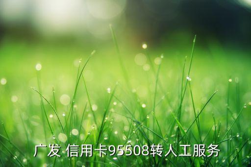  廣發(fā) 信用卡95508轉(zhuǎn)人工服務