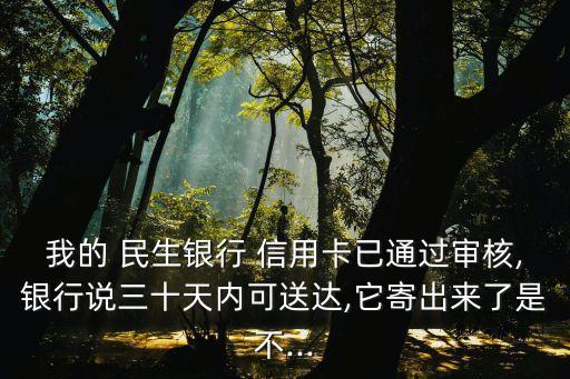 民生銀行信用卡授權碼送牛那