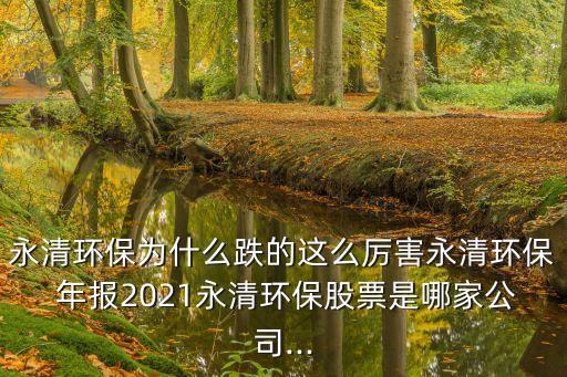 中國(guó)垃圾年報(bào)