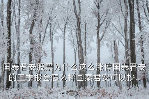 國泰君安股票為什么這么漲停國泰君安的三季報(bào)會怎么樣國泰君安可以抄...