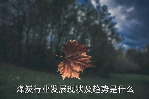  煤炭行業(yè)發(fā)展現(xiàn)狀及趨勢(shì)是什么