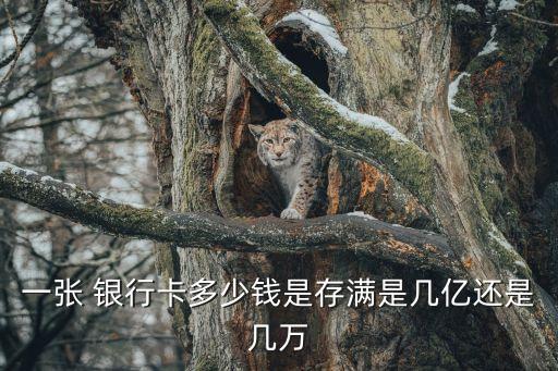 一張 銀行卡多少錢是存滿是幾億還是幾萬(wàn)