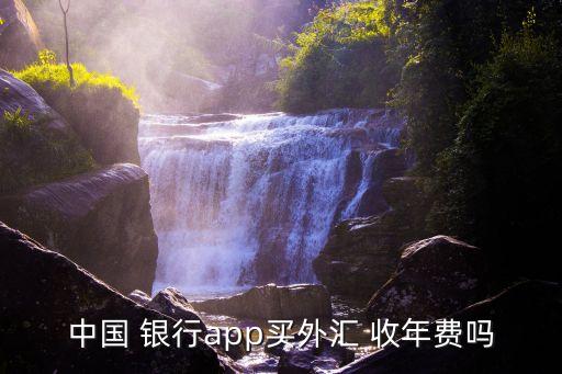 中國(guó) 銀行app買外匯 收年費(fèi)嗎
