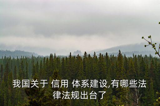 中國信用體系現(xiàn)狀,中國醫(yī)療體系現(xiàn)狀簡述