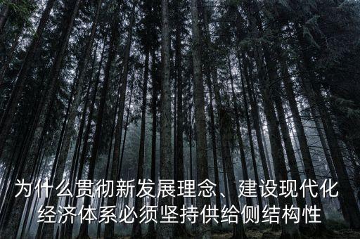 為什么貫徹新發(fā)展理念、建設(shè)現(xiàn)代化 經(jīng)濟(jì)體系必須堅(jiān)持供給側(cè)結(jié)構(gòu)性