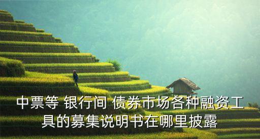 中票等 銀行間 債券市場(chǎng)各種融資工具的募集說(shuō)明書(shū)在哪里披露