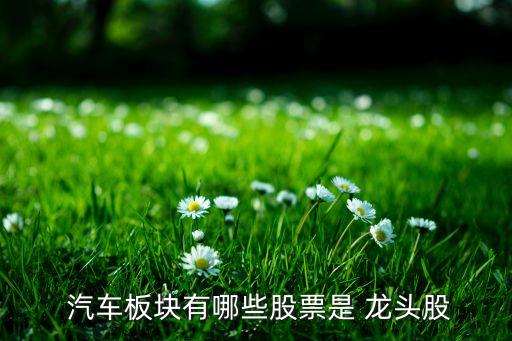 中國(guó)汽車(chē)龍頭