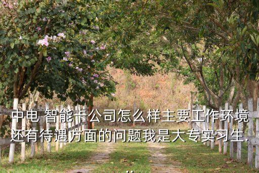 中電 智能卡公司怎么樣主要工作環(huán)境還有待遇方面的問題我是大專實習(xí)生...