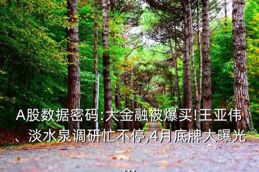 A股數(shù)據(jù)密碼:大金融被爆買!王亞偉、淡水泉調(diào)研忙不停,4月底牌大曝光...